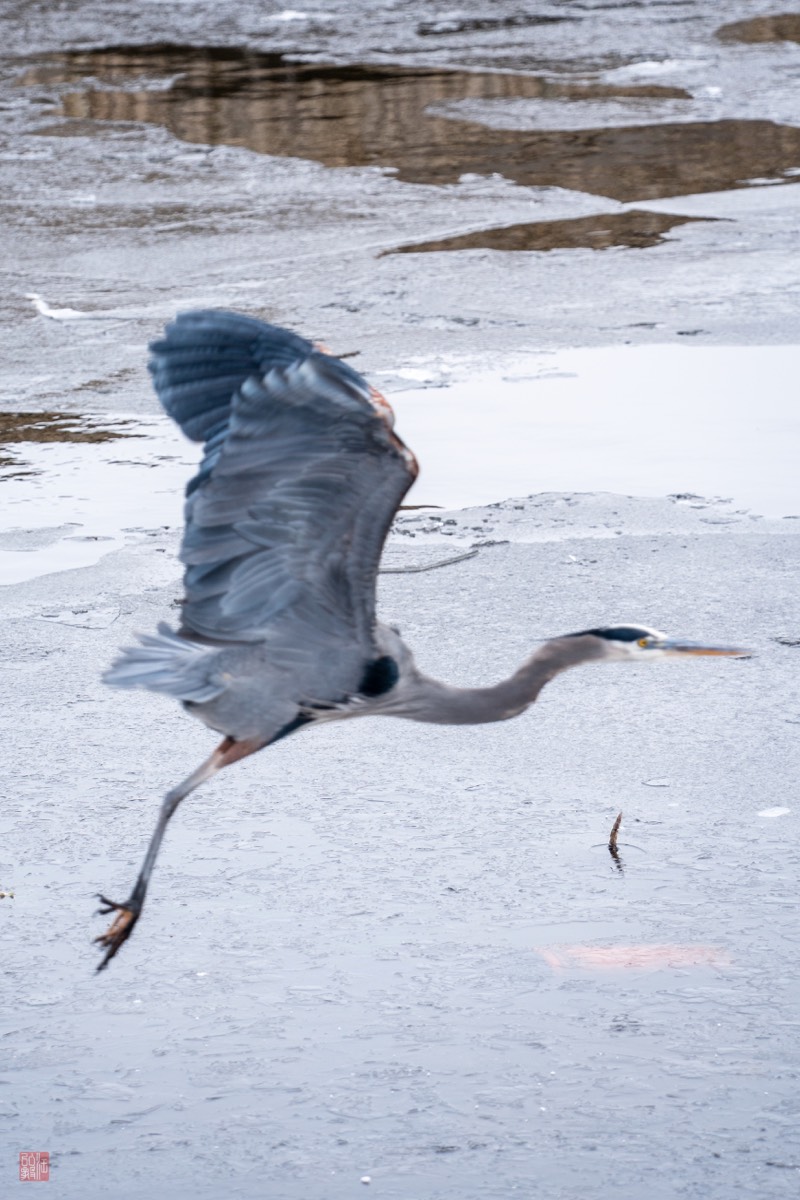 Photography by Hong-Yi Wang