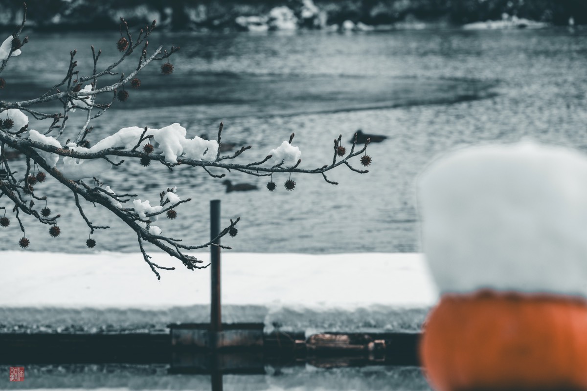 Photography by Hong-Yi Wang