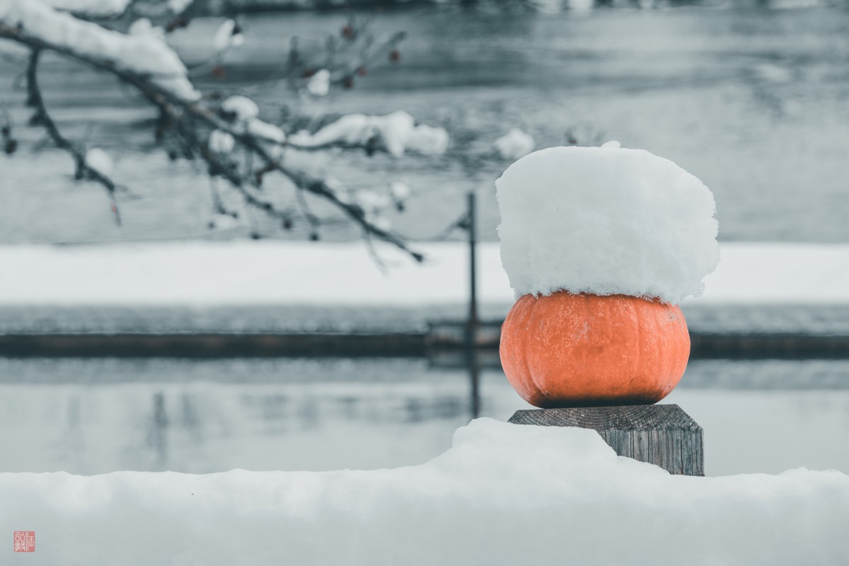 Photography by Hong-Yi Wang