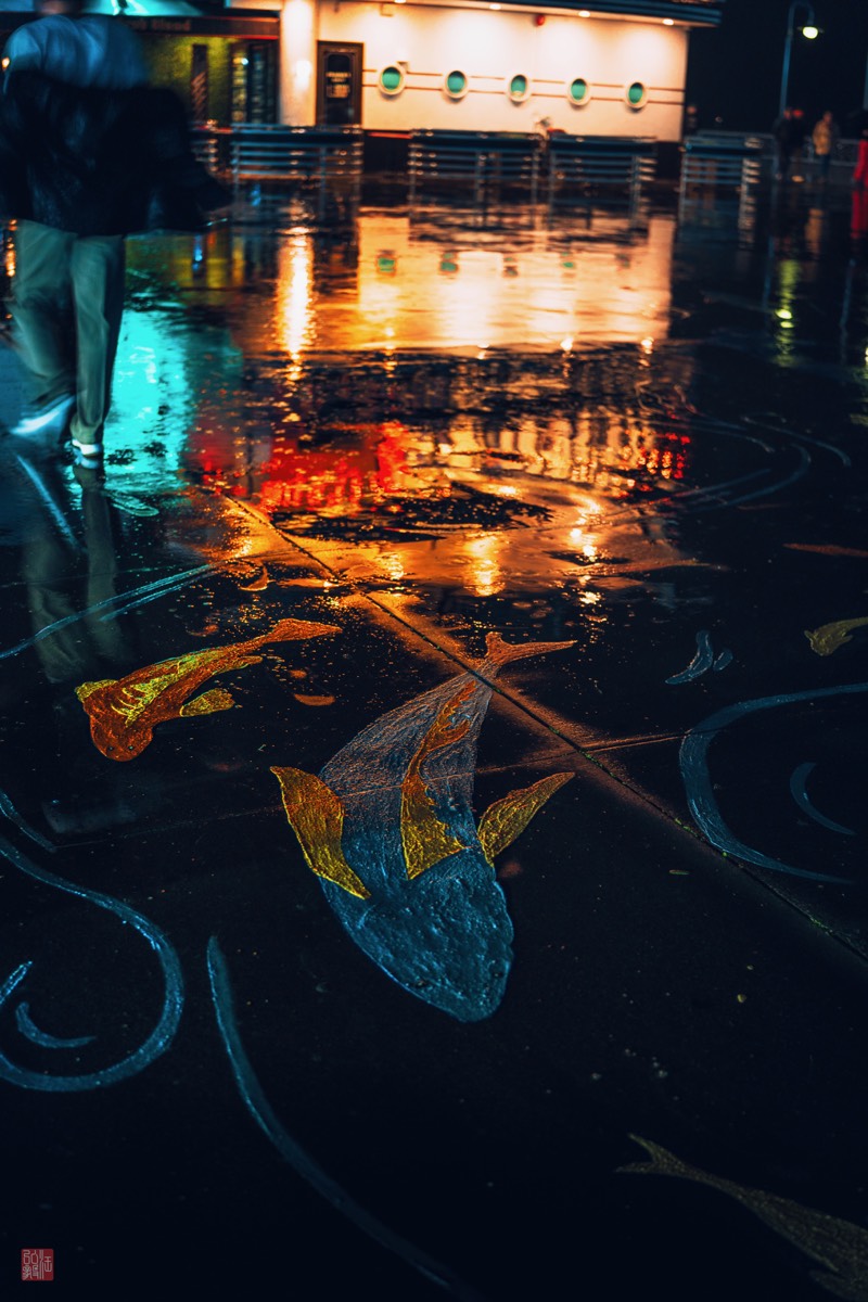 Photography by Hong-Yi Wang